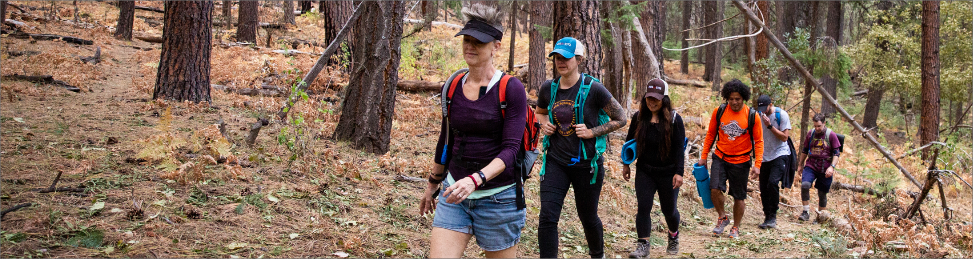 A group of hikers walking through the woods